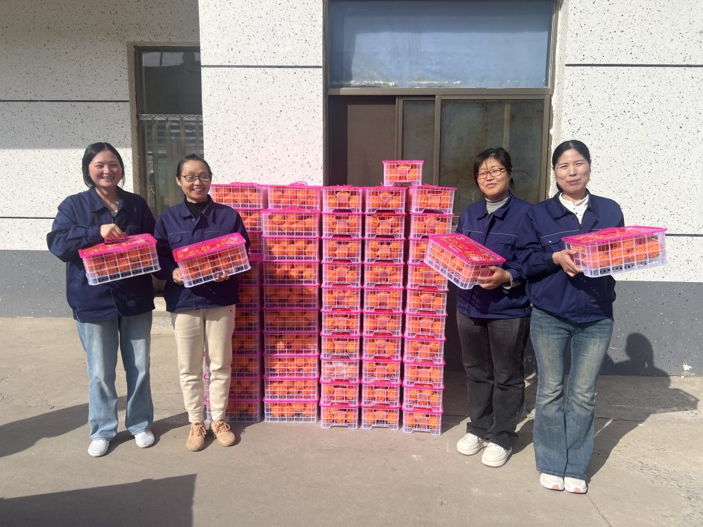 3748a428c277cbdc2319afd32a272f2