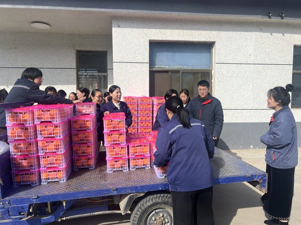 7657a215a58b1a7d75b076ab695727f