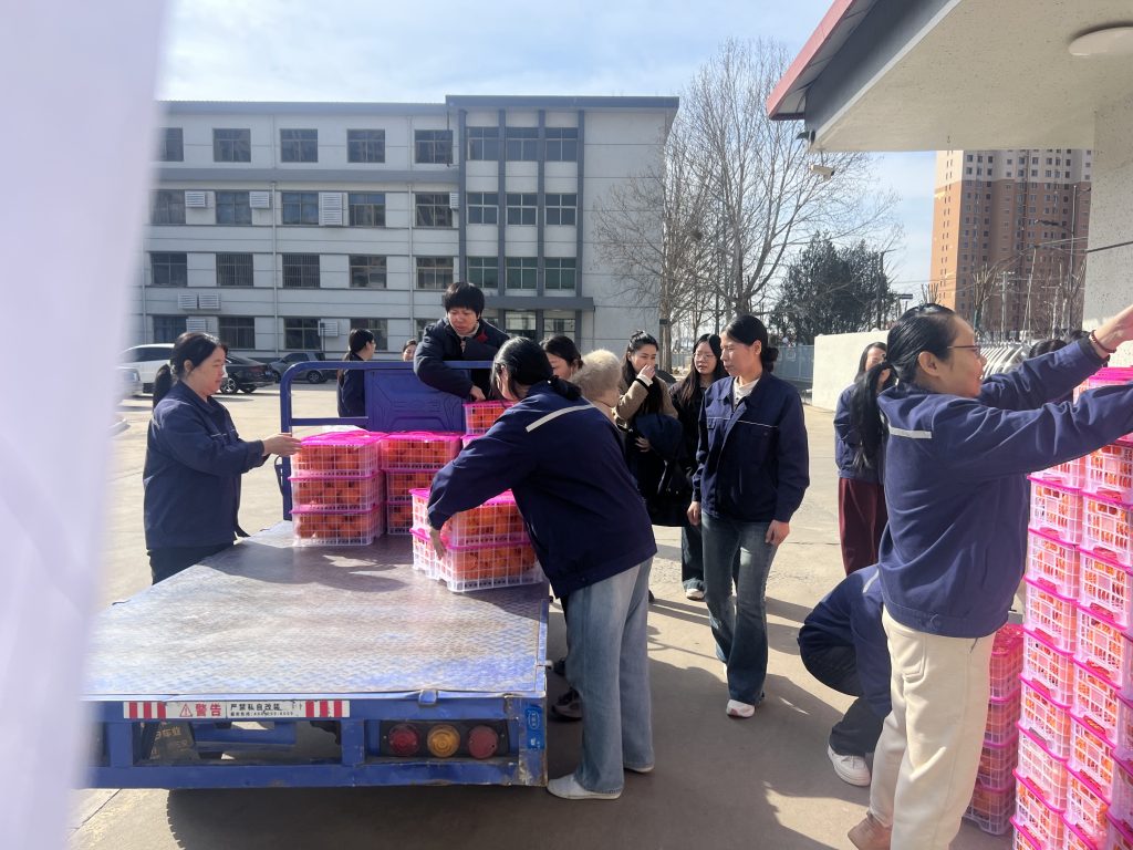 b3076fca06793dccd146dc11b25d8a8