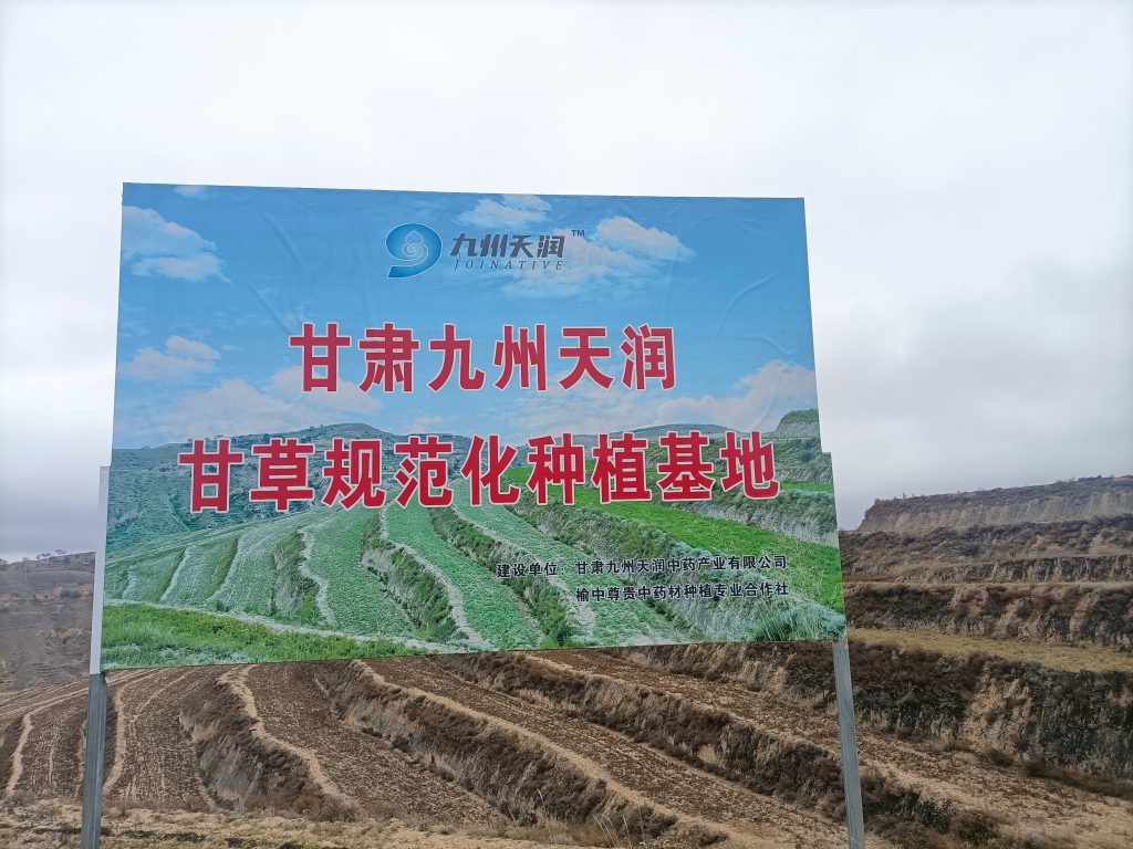 新闻：河北永丰药业有限公司中药材甘草种植基地顺利通过省药监局组织的中药gap延伸检查新闻配图2