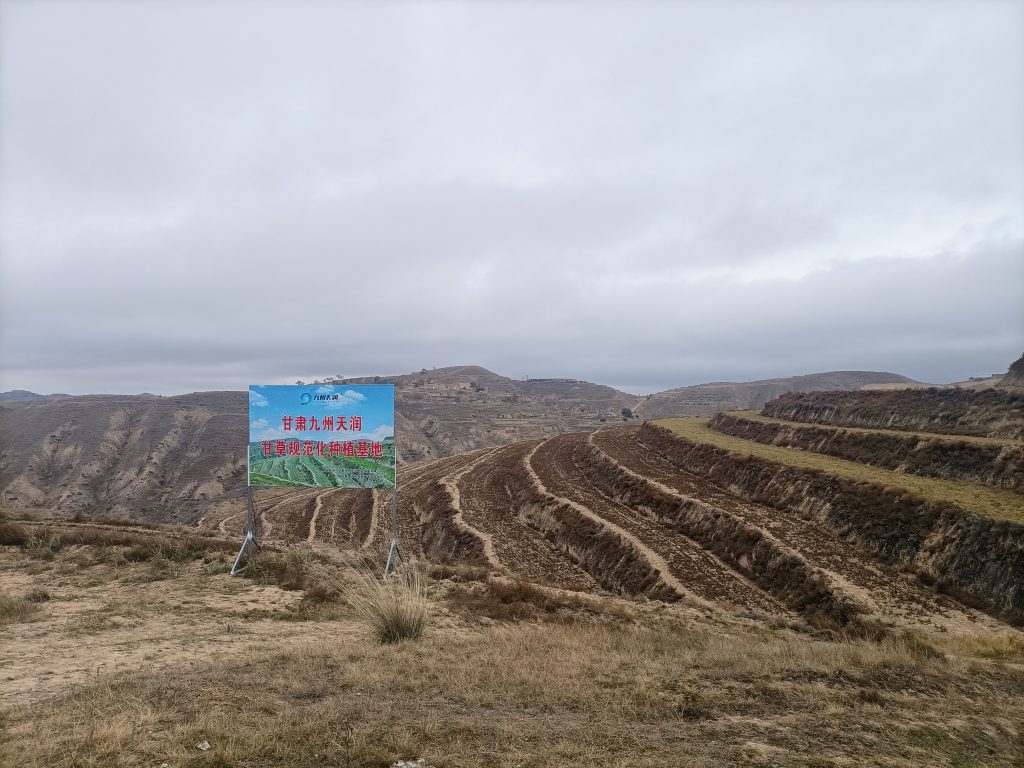 新闻：河北永丰药业有限公司中药材甘草种植基地顺利通过省药监局组织的中药gap延伸检查新闻配图3